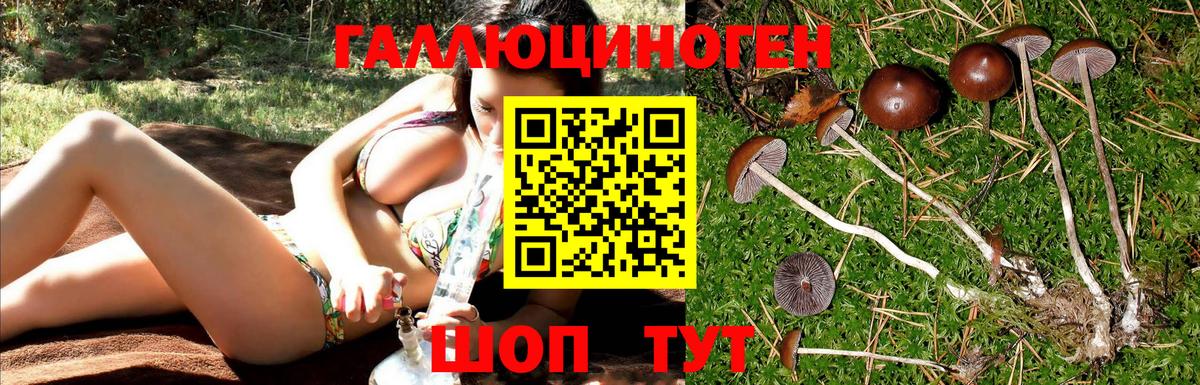 Галлюциногенные грибы мухоморы Лабытнанги