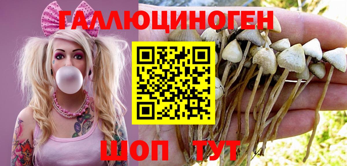 Галлюциногенные грибы Psilocybine cubensis  Галлюциногенные грибы Psilocybine cubensis  Вход с VPN  Лабытнанги 